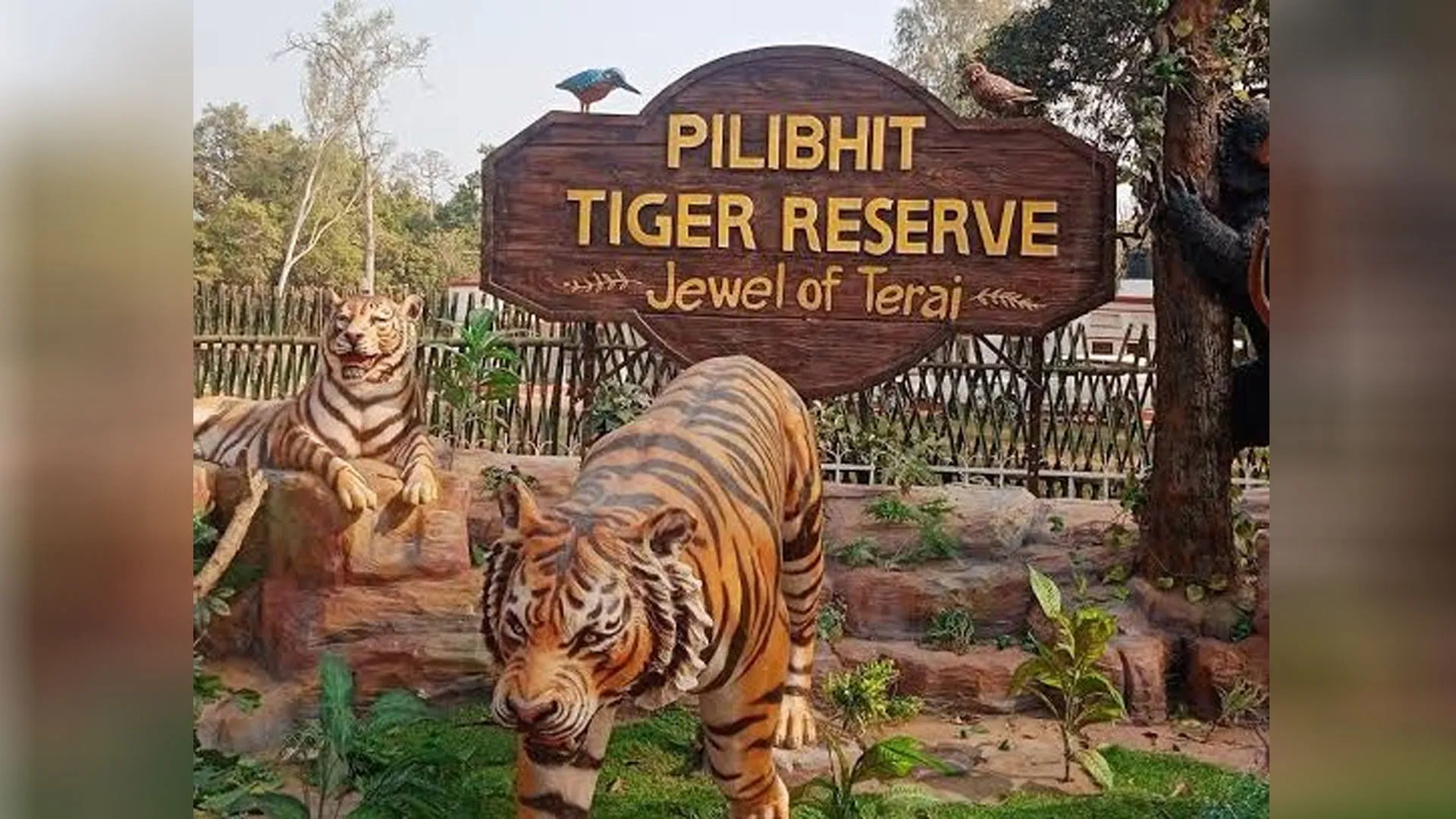 UP:पीटीआर-नेपाल के बर्दिया नेशनल पार्क के बीच साझा हुए संरक्षण के गुर