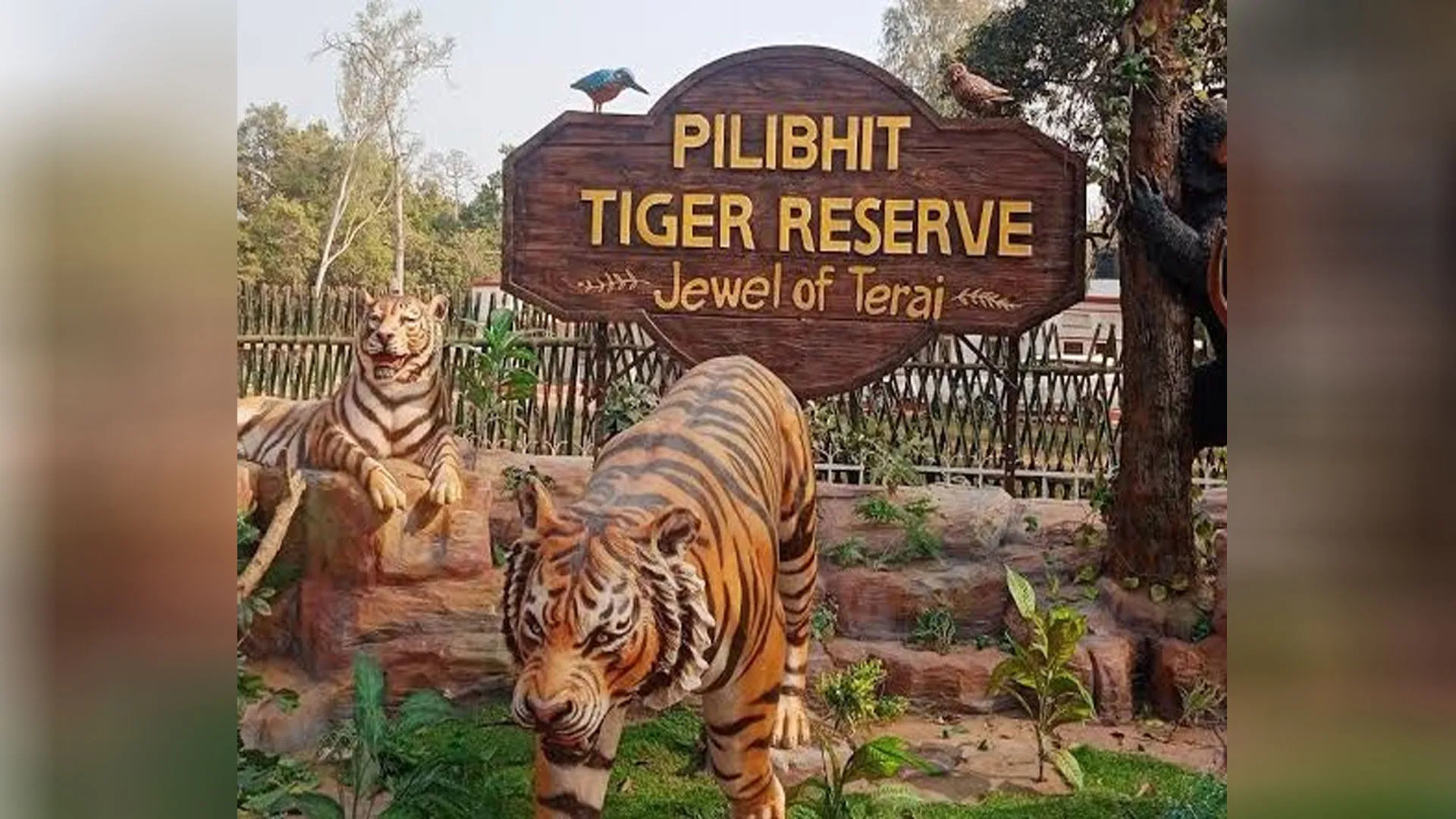 Bareilly:अब महाराष्ट्र की प्राइमरी रेस्पांस टीम भी पीटीआर में सीखेगी वन्यजीव प्रबंधन के गुर