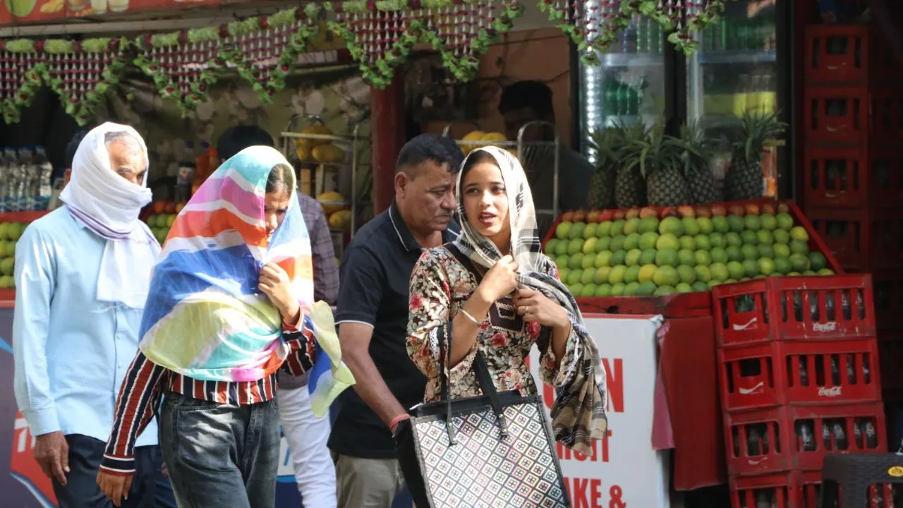 Untitled design (12)