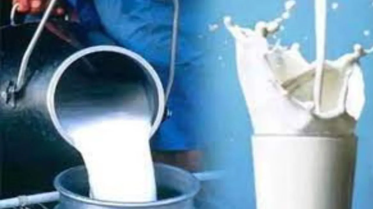  बुलंदशहर में मिलावटी दूध पर बड़ा एक्शन :  6 इकाइयों के निलंबित होंगे लाइसेंस, सहारनपुर में 5.75 करोड़ के उत्पाद जब्त 