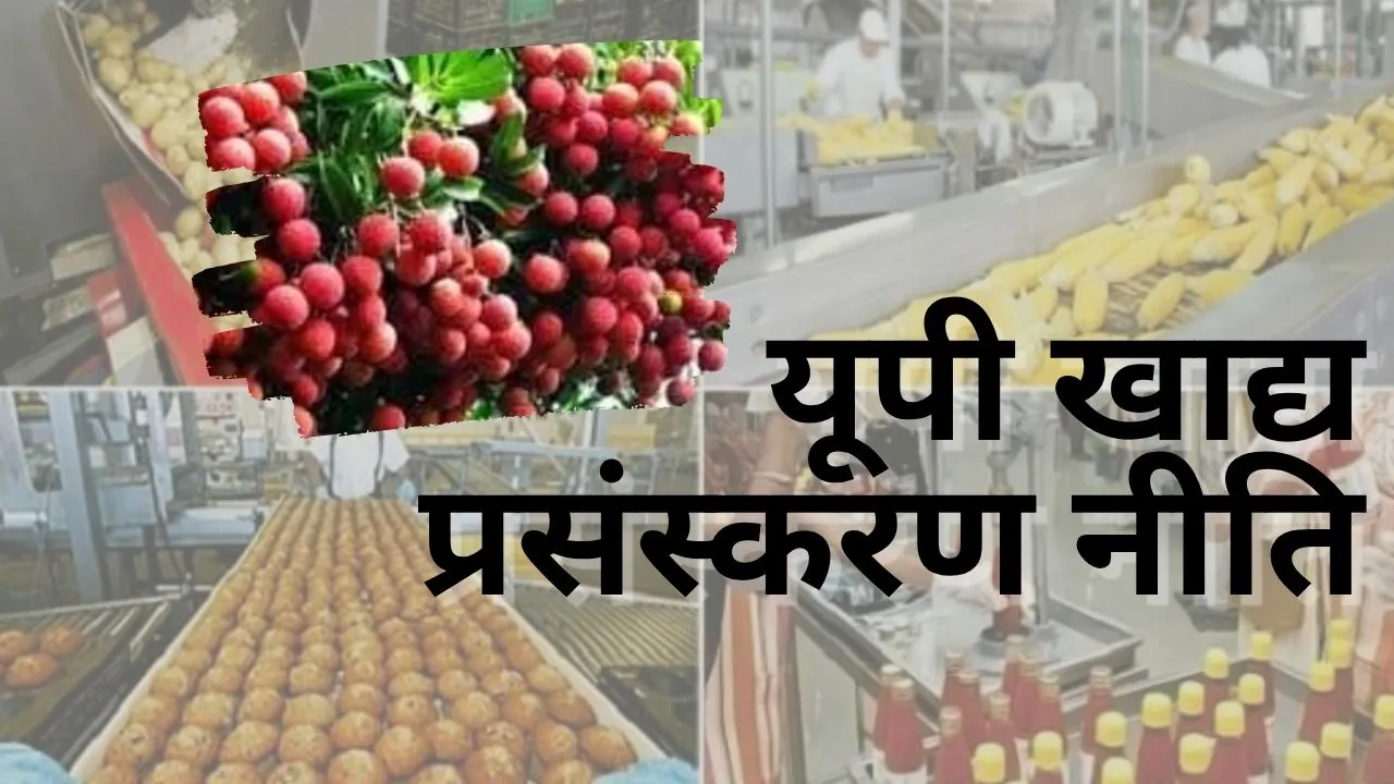 यूपी खाद्य प्रसंस्करण नीति:   SLEC बैठक में 18 नए प्रस्तावों को मंजूरी, नए प्रोजेक्ट्स से बढ़ेगा निवेश