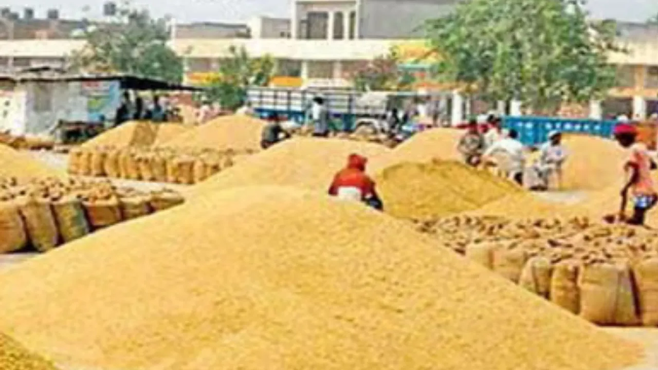 फार्मर रजिस्ट्री की बाध्यता खत्म :  सरकारी केंद्रों की तरफ बढ़ा किसानों का रुझान, एक दिन में पांच हजार क्विंटल गेहूं खरीद