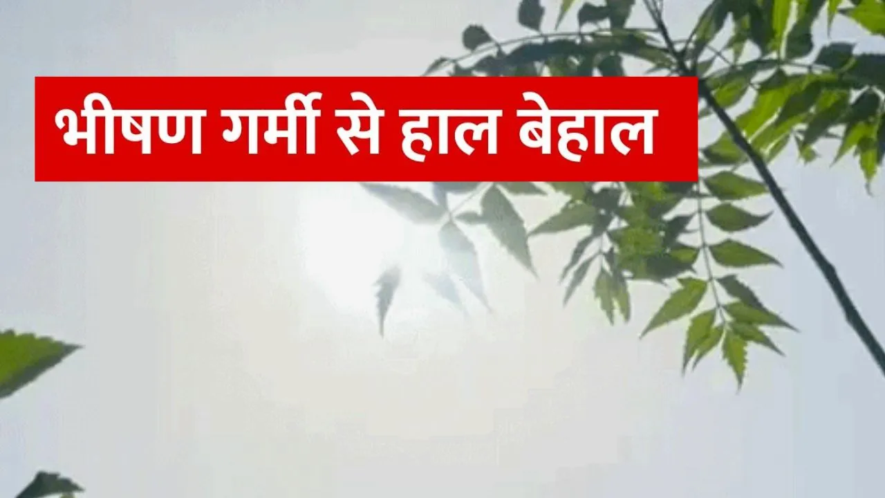 प्रचंड गर्मी की चपेट में आया प्रयागराज,  45.2 डिग्री तापमान दर्ज; बुरी तरह प्रभावित जनजीवन 