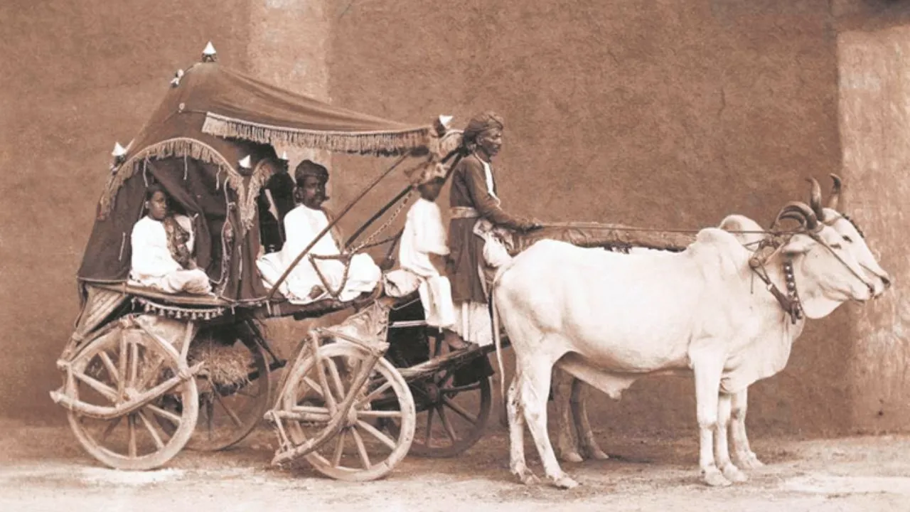 कहां खो गया इक्का!