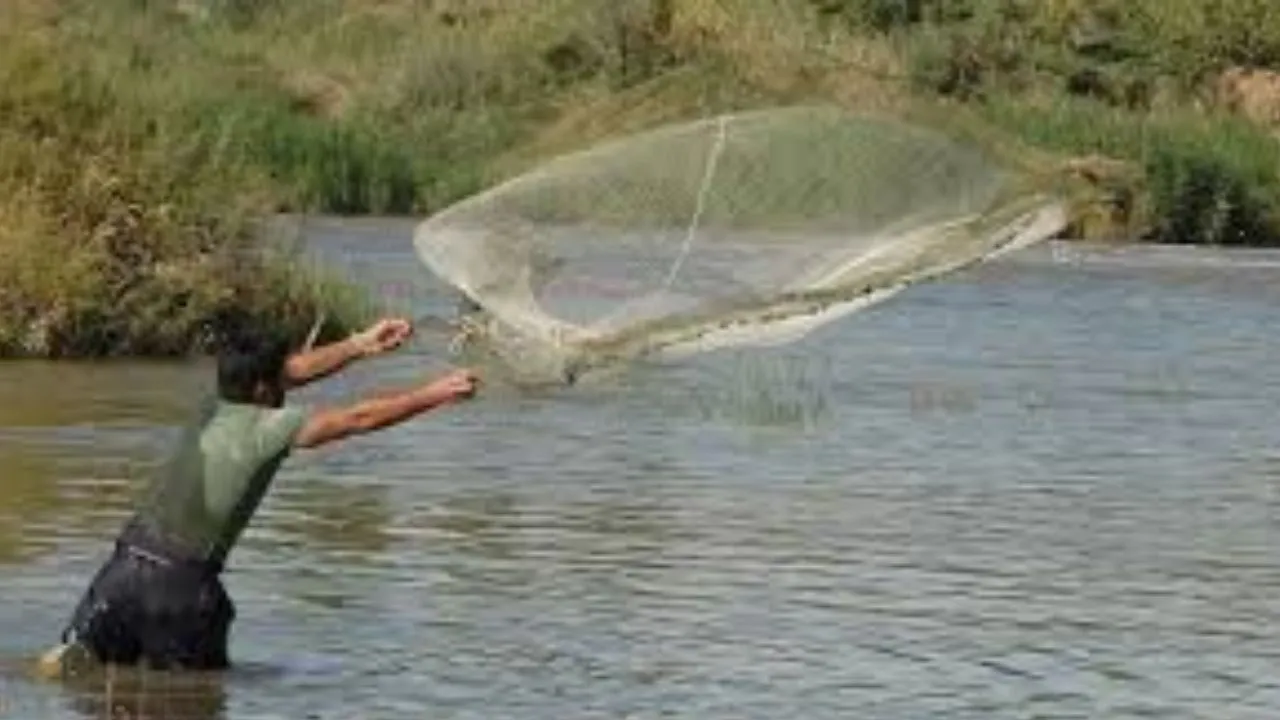 यूपी में बदली मत्स्य विभाग की ACR व्यवस्था : शासन ने जारी किया नया आदेश, रिपोर्टिंग से लेकर स्वीकृति तक बदली जिम्मेदारियां