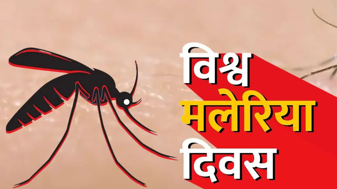 विश्व मलेरिया दिवस आज,  तीन वर्ष में छह गुना बढ़ गए मलेरिया के मरीज, बचाव और समय पर इलाज पर जोर