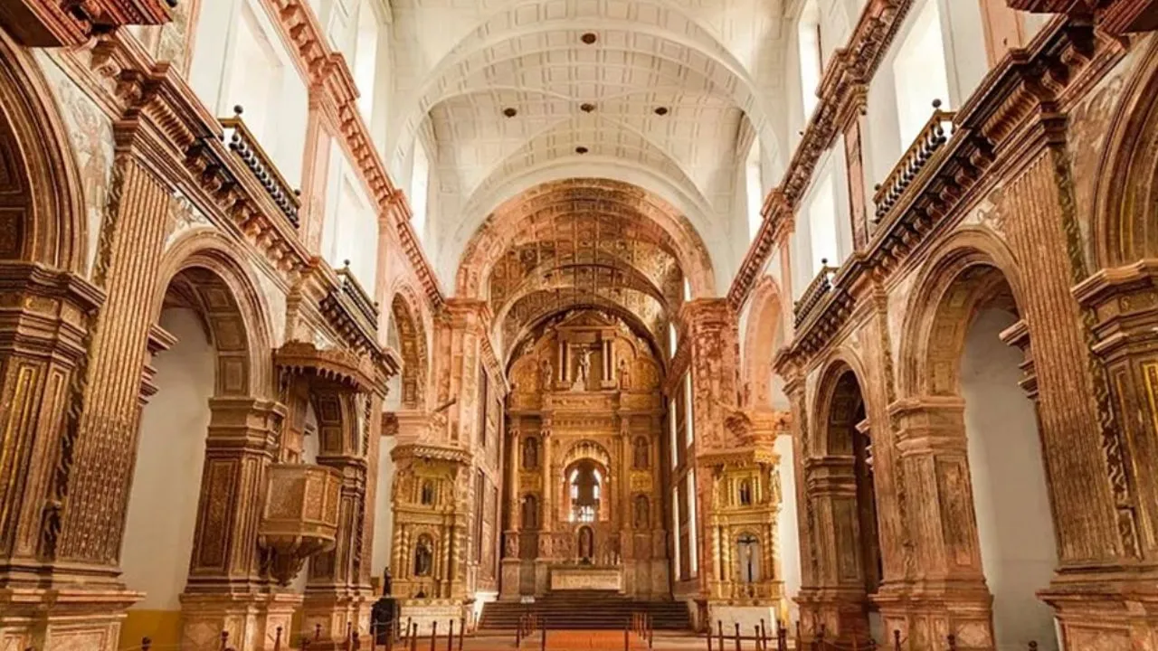 निराश्रित पशु का अंतिम संस्कार करातीं भावना सक्सेना (2) 