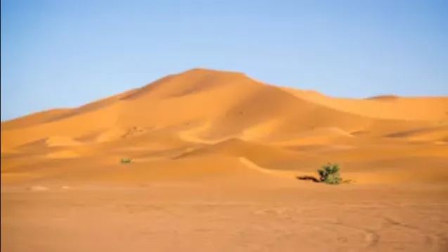 हिमालय की शुद्ध आबोहवा पर थार का 'जैविक प्रहार'