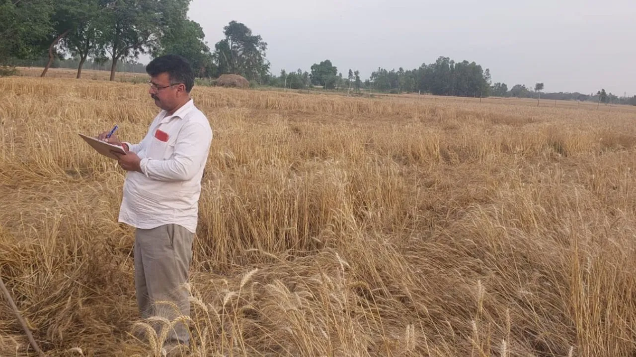 वायरल तस्वीर (10)