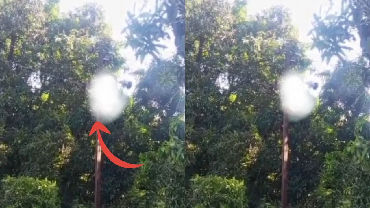  सीतापुर में  हाईवोल्टेज करंट की चपेट  में आया विद्युतकर्मी: लाइन मरम्मत के दौरान मौत, परिजनों ने लापरवाही का आरोप लगाया