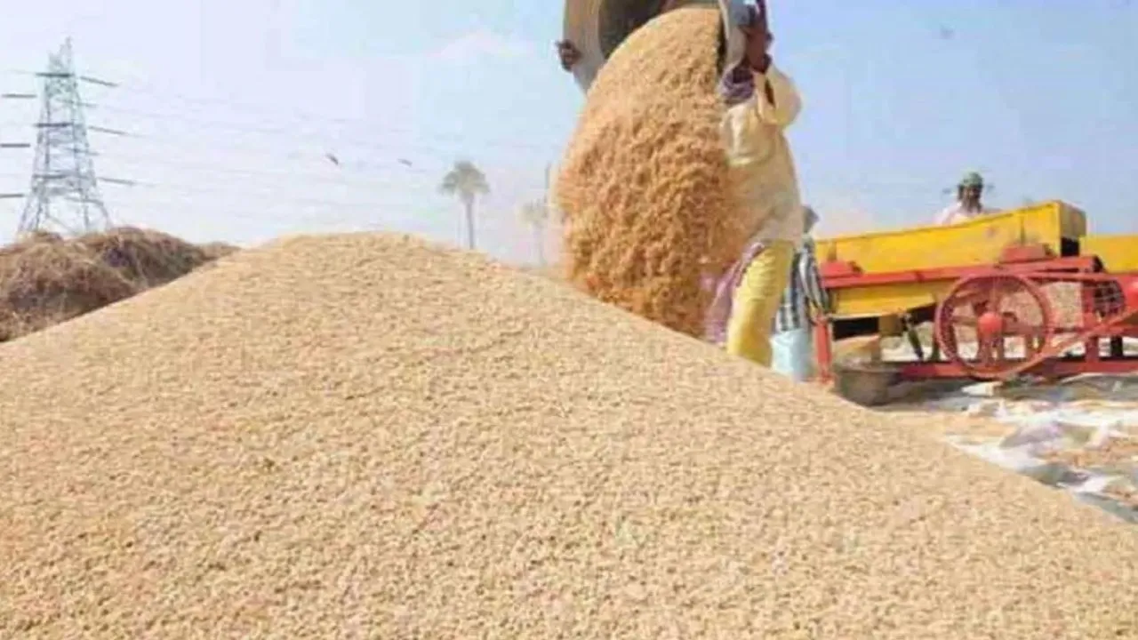 मुख्य सचिव के गेहूं खरीद-उर्वरक वितरण को लेकर सख्त निर्देश,  पीएम किसान पंजीकरण अनिवार्य, केवल पीओएस से उर्वरक बिक्री 