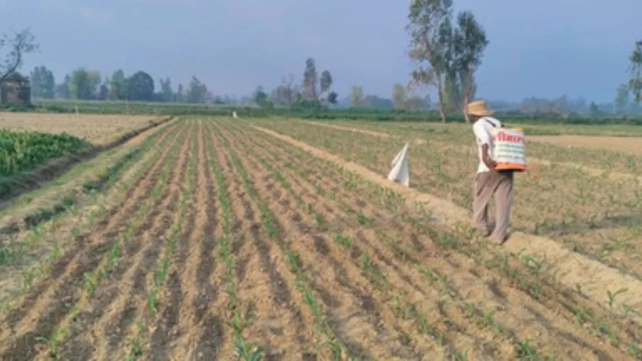  यूपी में बीज योजनाओं के लिए 670 करोड़ की मंजूरी, किसानों को मिलेगा सब्सिडी का लाभ