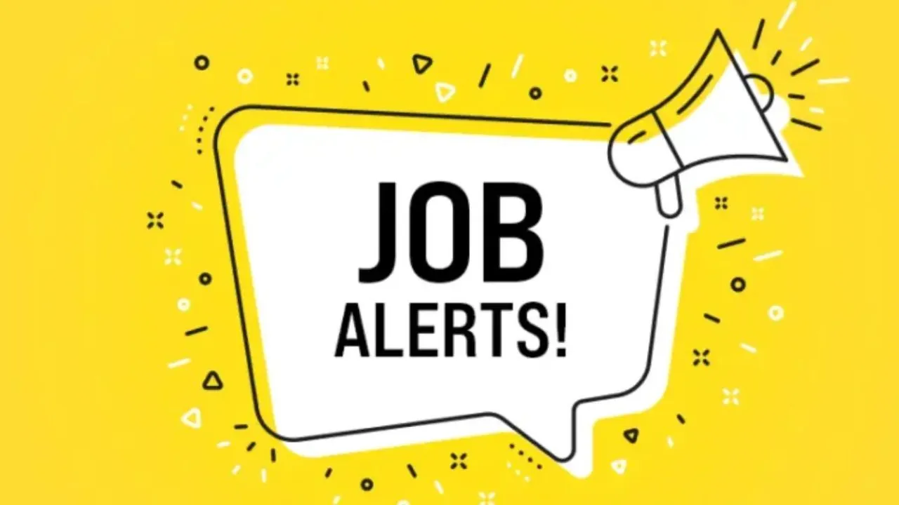 जॉब अलर्ट