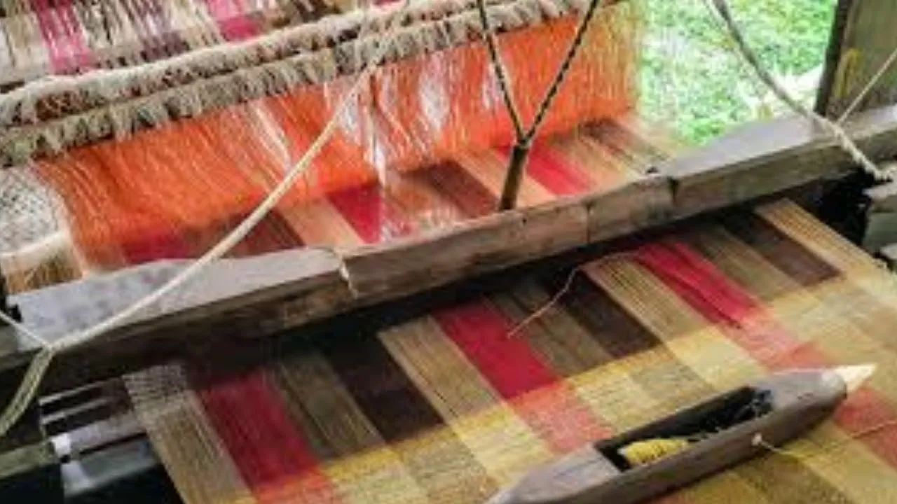  'पंजाब का पटियाला शूट, बनारस की मरसराइज', केन्द्रीय संस्कृत विश्वविद्यालय में शुरू हुई हथकरघा वस्त्रों की प्रदर्शनी