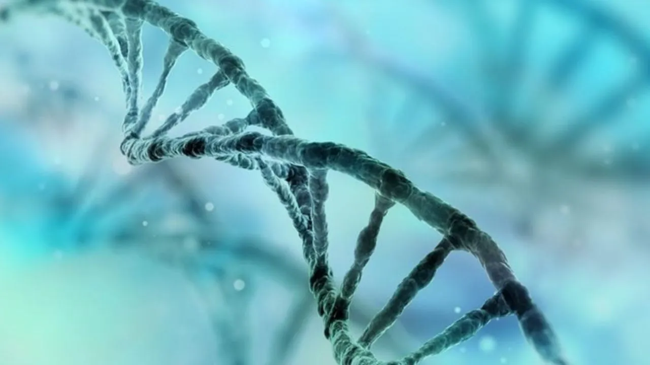 रोचक फैक्ट: इंसान के भीतर छिपे दूसरे जीवों के जीन का रहस्य