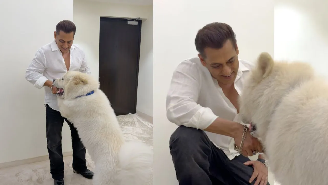  सलमान का इमोशनल कर देने वाला पोस्ट, अपने सबसे प्यारे साथी के साथ दिखाईं खास झलकियां 