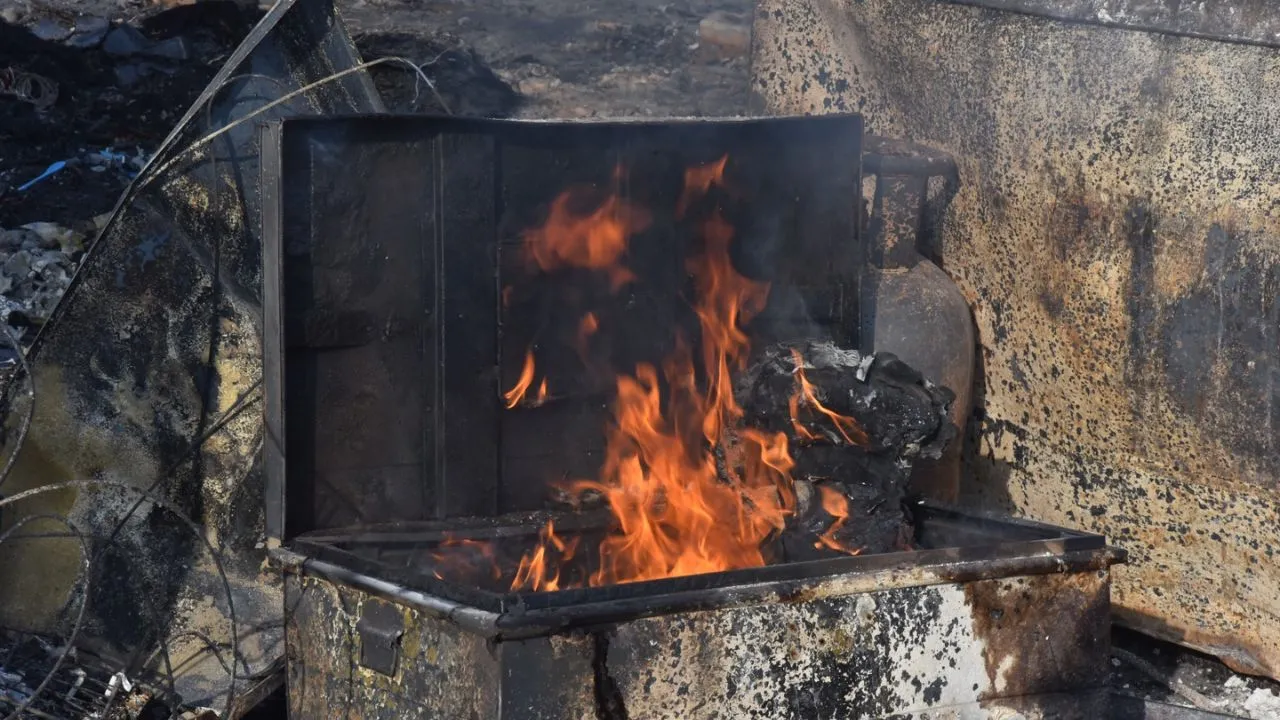 वायरल तस्वीर (5)