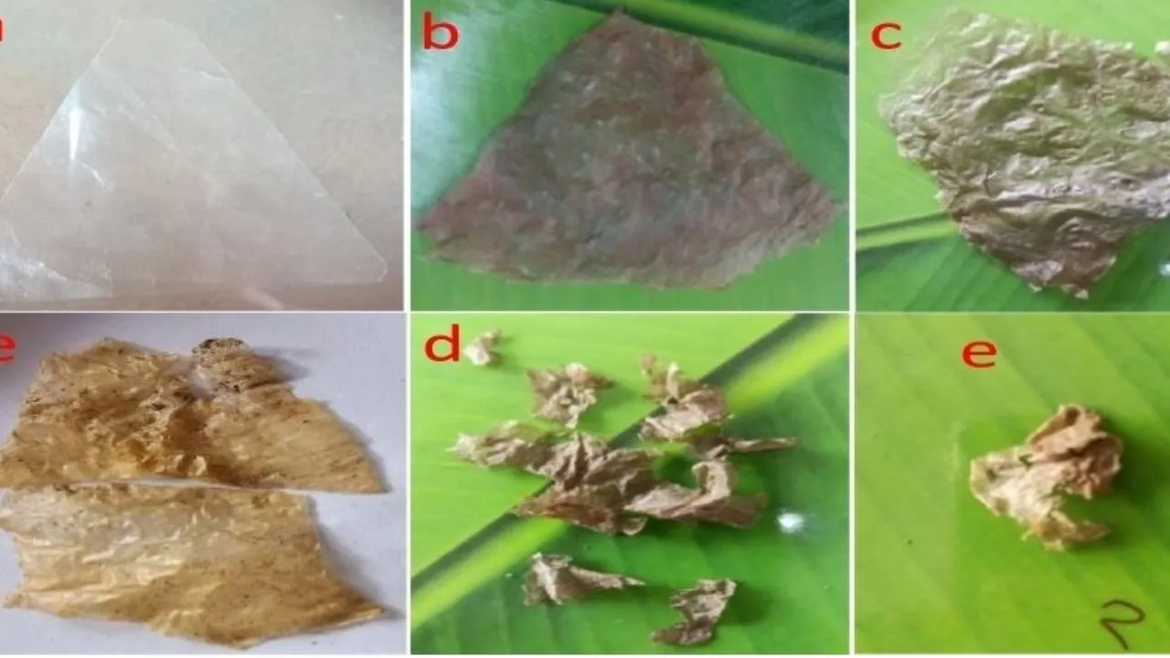 वायरल तस्वीर (57)