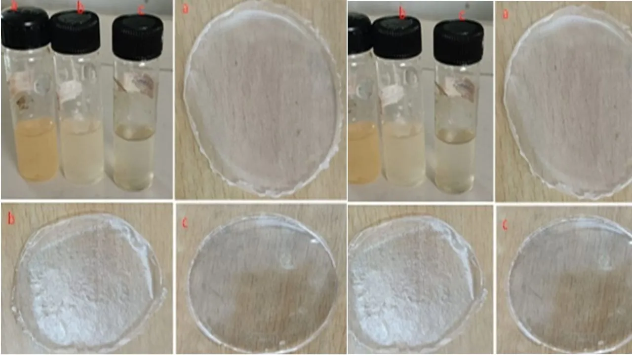 पैकिंग में खराब नहीं होंगे खाद्य पदार्थ, ना ही केमिकल से होगा नुकसान