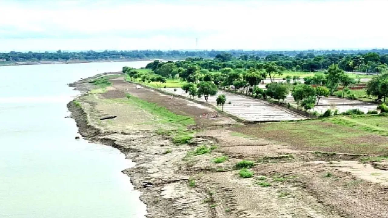 जैविक क्रांति से गंगा किनारे 26 जिलों की बदल रही तस्वीर,  नमामि गंगे के तहत 3370 क्लस्टर, ग्रामीण अर्थव्यवस्था को नई मजबूती 