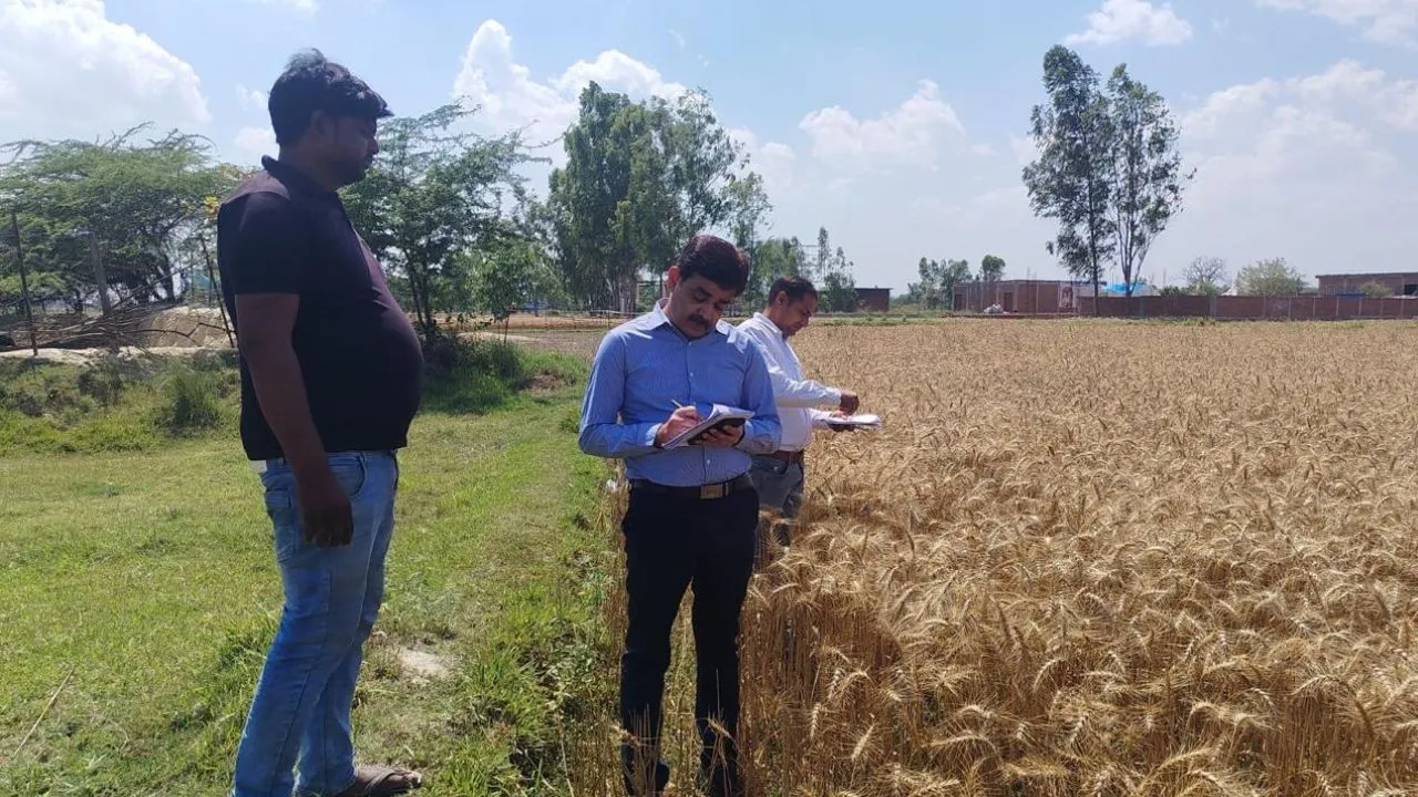 वायरल तस्वीर (8)