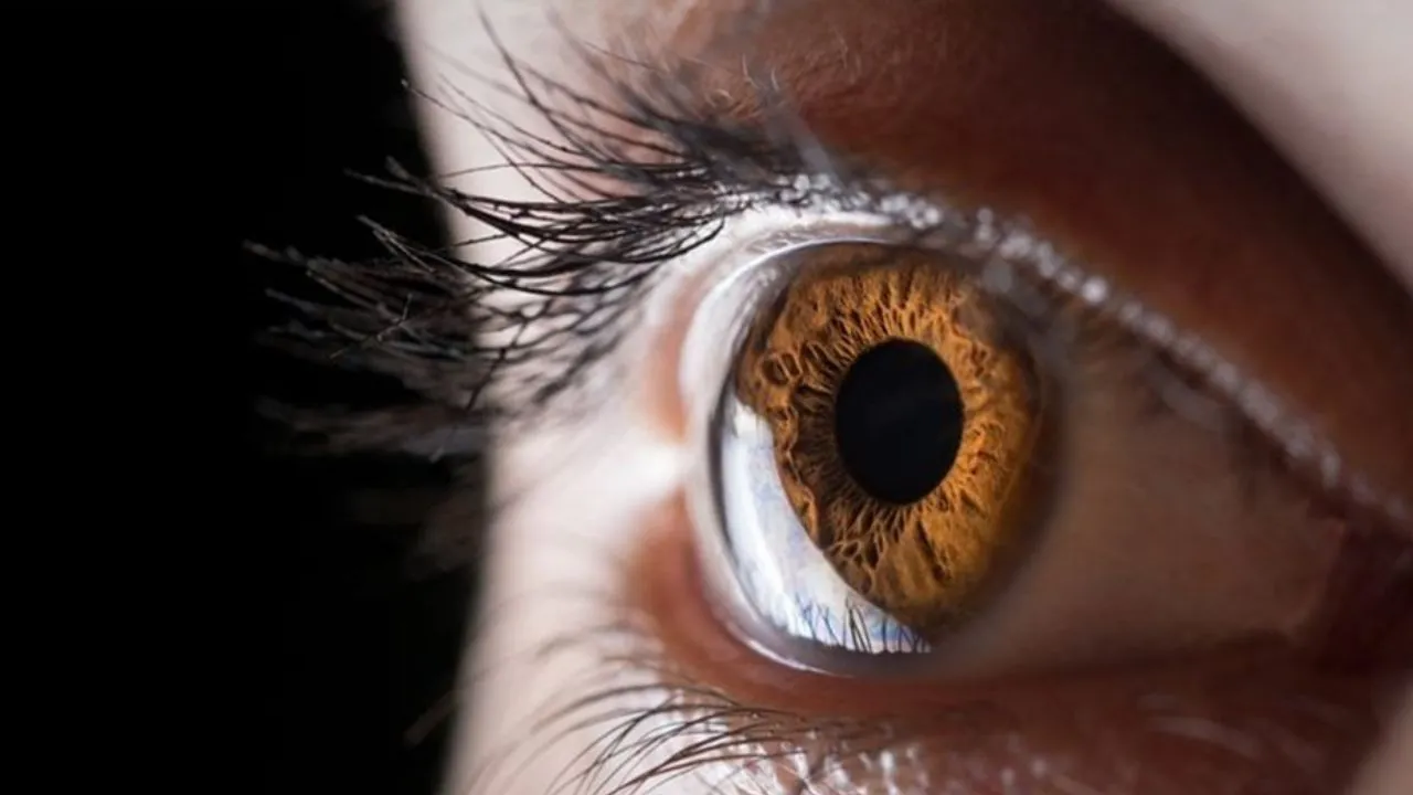 वैज्ञानिक फैक्ट:  आखिर क्यों होता है पुरुषों में कलर ब्लाइंडनेस ज्यादा