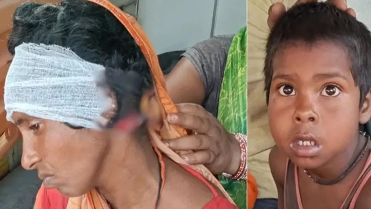 Bahraich News:  तेंदुए के जबड़े से मासूम बेटे को खींच लाई साहसी मां! जिगर के टुकड़े को बचाने के लिए 10 मिनट तक किया संघर्ष