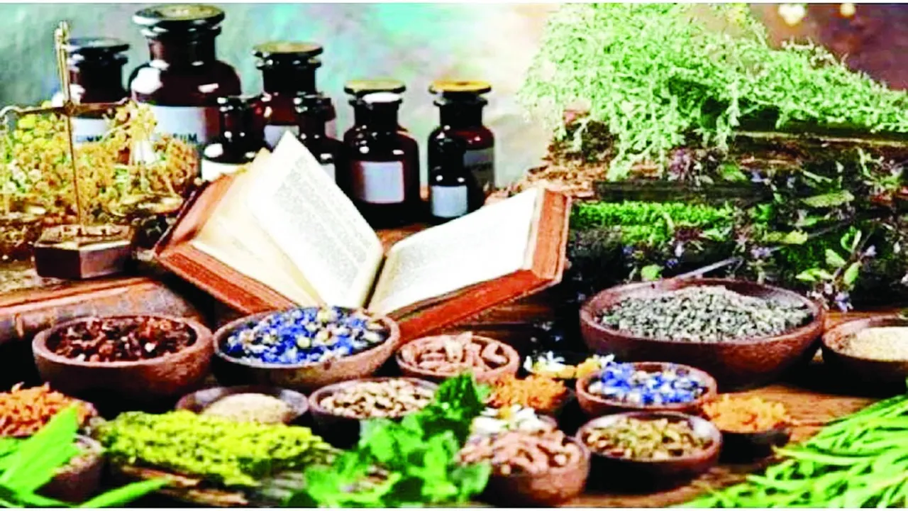 सहेजनी होगी पारंपरिक चिकित्सा की विरासत 