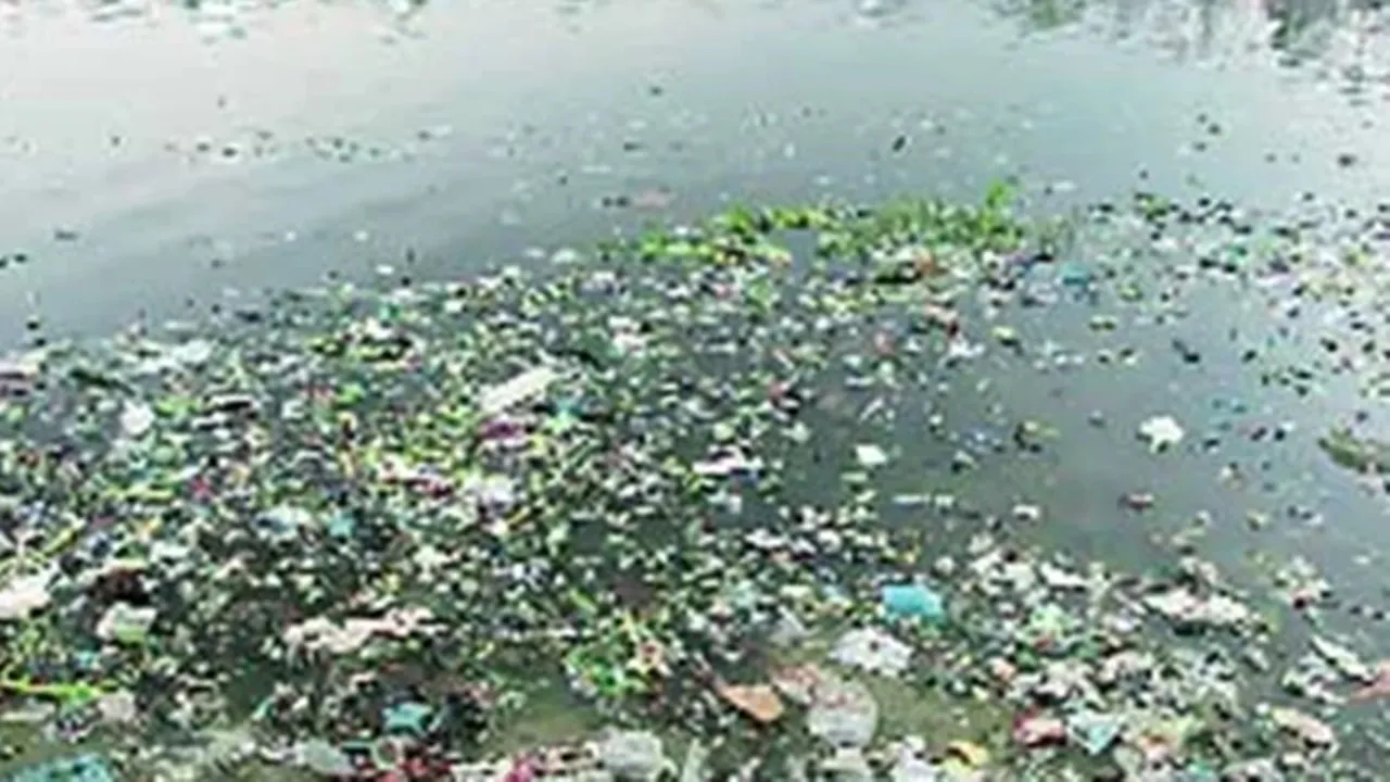 इटावा : कभी राजतिलक में प्रयुक्त यमुना जल अब प्रदूषण की चपेट में, छूने से भी कतराते हैं  लोग