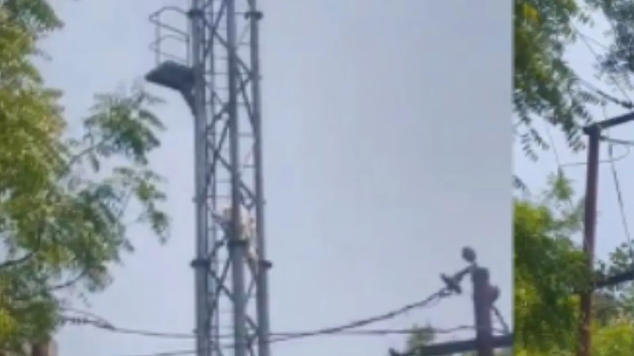 Noida News : प्रेमी की दूसरी शादी की खबर सुन टॉवर पर चढ़ी युवती, घंटों चला हाई वोल्टेज ड्रामा 