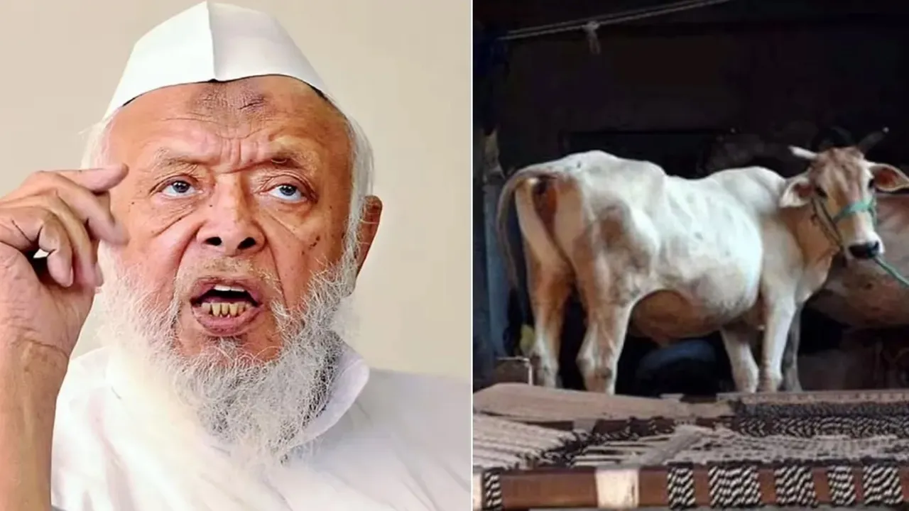 Lucknow News: बकरीद से पहले गाय को 'राष्ट्रीय पशु' घोषित करने की उठी मांग, मुस्लिम संगठन ने  PM मोदी और CM योगी से की यह बड़ी अपील 
