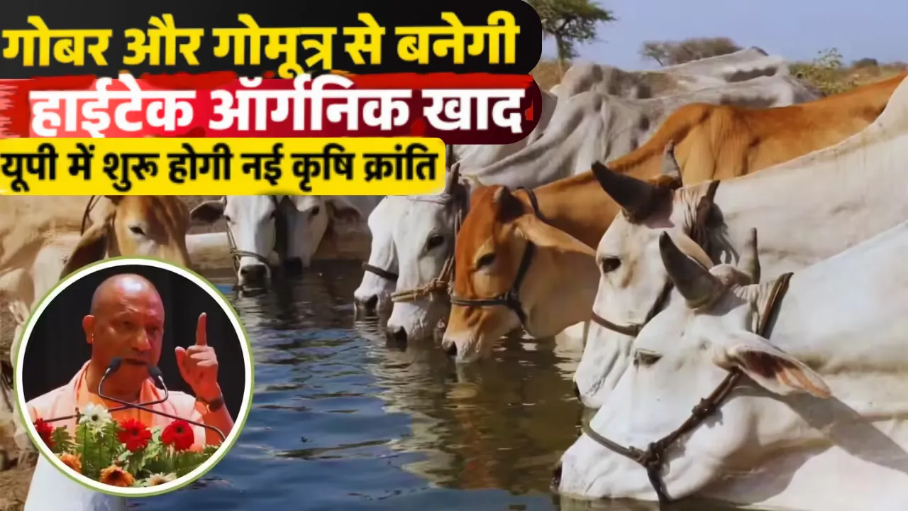 गोमाता से ‘जीन क्रांति’ की तैयारी: गोबर-गोमूत्र से बनेगी सुपर खाद, IIT कानपुर की तकनीक से 15 गुना असरदार ऑर्गेनिक फर्टिलाइजर
