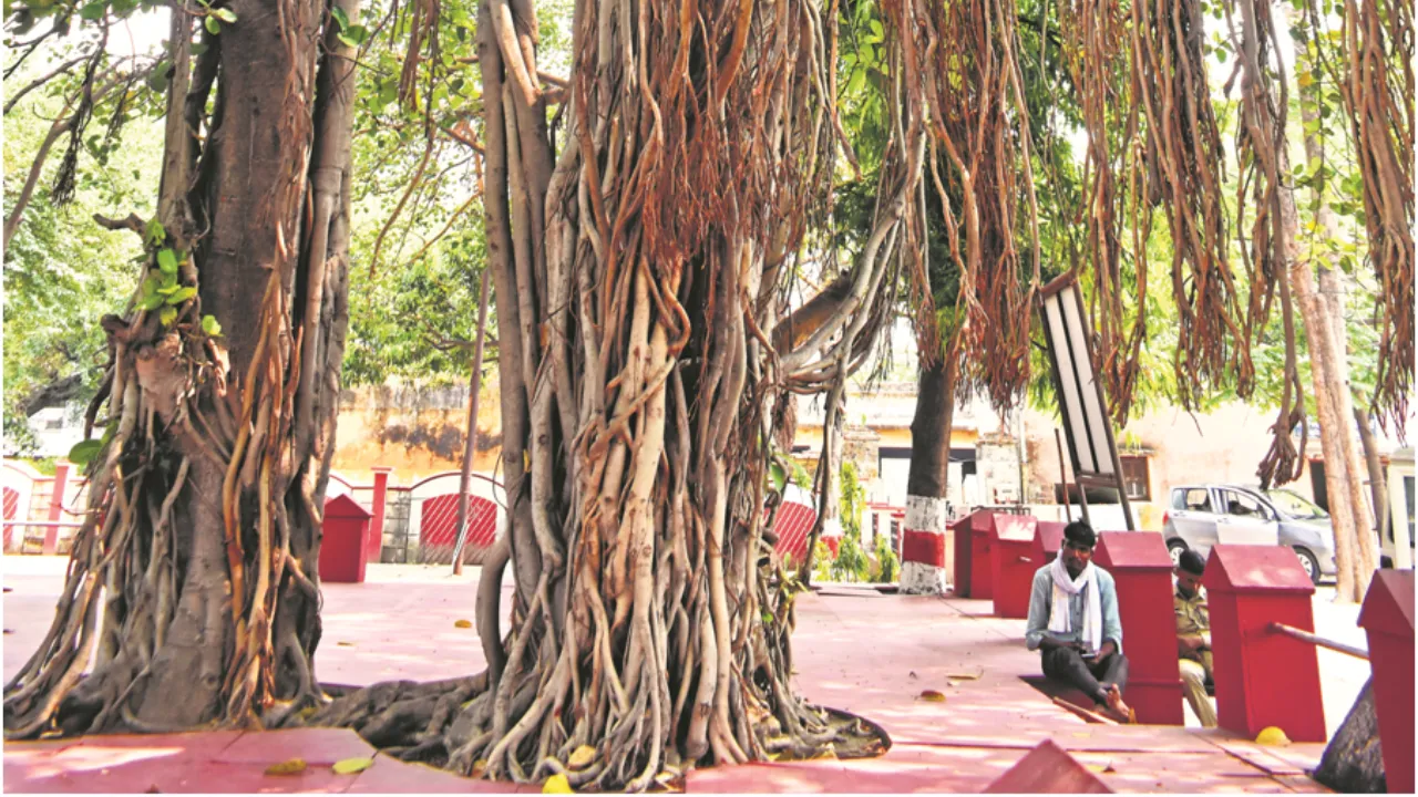 MUSKAN DIXIT (38)