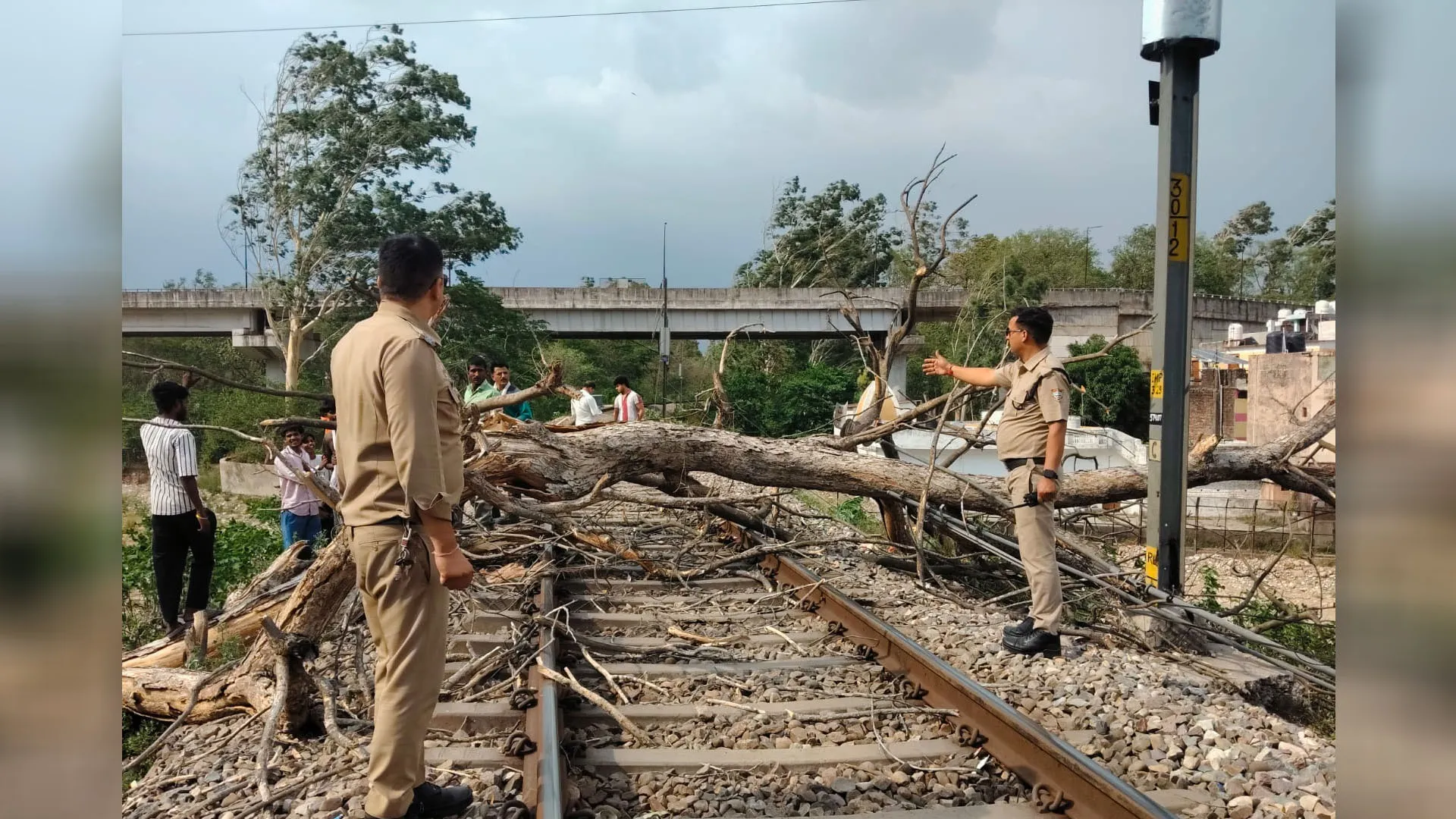 Moradabad News: तेज आंधी, तूफान से हरिद्वार–मोतीचूर रेलखंड पर गिरा पेड़, कुछ देर बाधित रहा रेलखंड