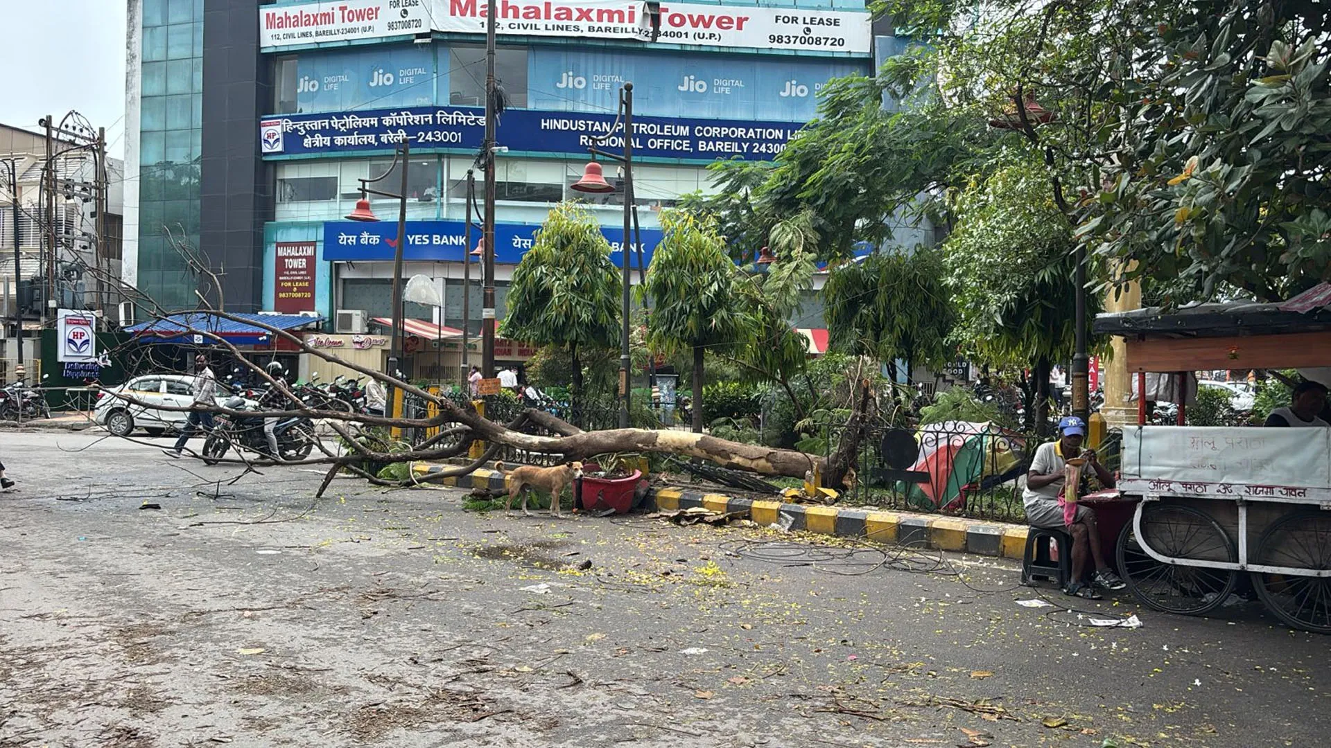 UP: बरेली मंडल में आंधी तूफान से तबाही, बदायूं में पांच व शाहजहांपुर में दो की मौत 