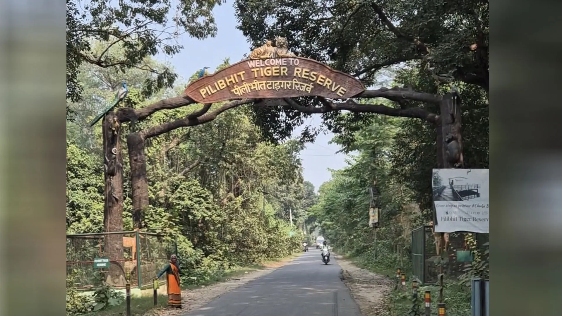 UP: पीटीआर में सुरक्षा के दावे फेल, कार सवारों का वनकर्मी पर हमला
