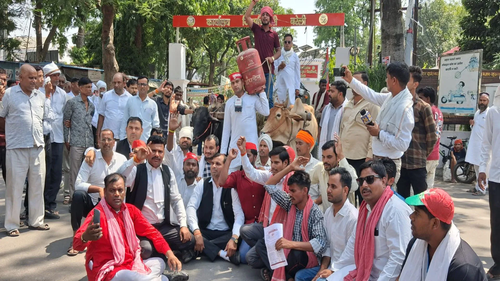 Bareilly News: बहुत हुई महंगाई की मार ! सिलेंडर लेकर सपाई बैलगाड़ी पर सवार, बिजली संकट पर भरी हुंकार