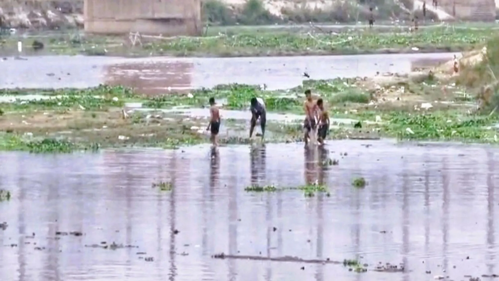 Moradabad:रामगंगा नदी में बड़ी संख्या में मरी मछलियां, पानी जहरीला होने की आशंका