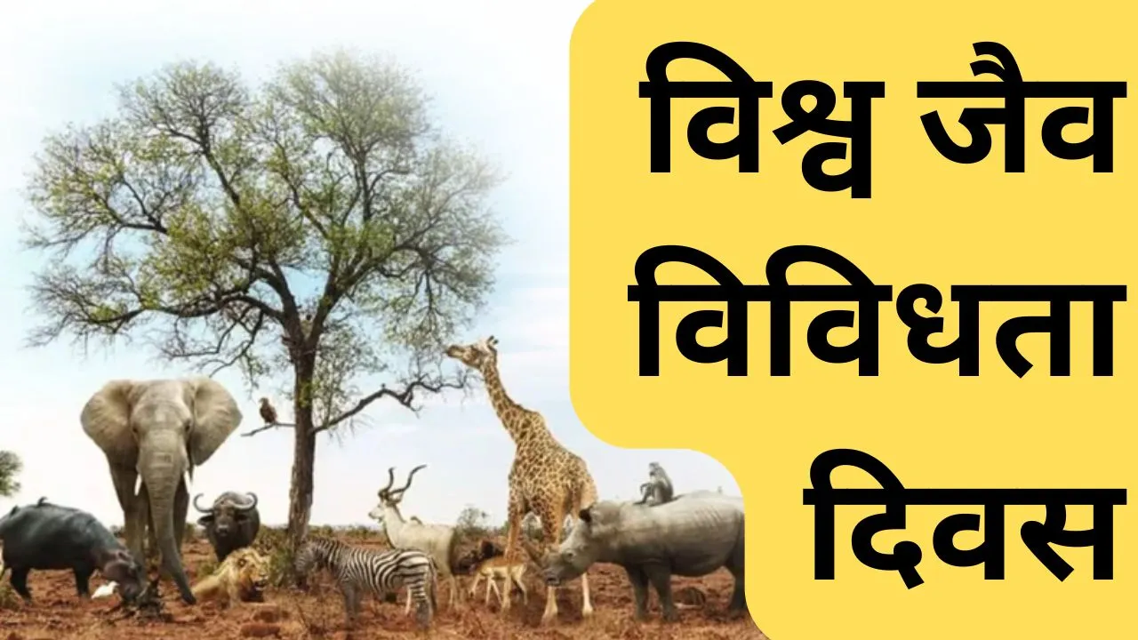  विश्व जैव विविधता दिवस :  विलुप्त होती प्रजातियां और मानव सभ्यता का संकट