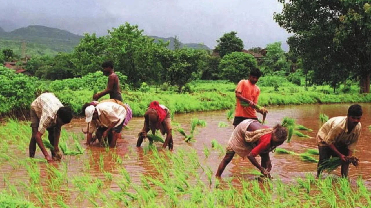 ग्रामीण आजीविका सुधारने के लिए सरकार का बड़ा कदम, NRLM के लिए 15.29 अरब रूपये से अधिक की धनराशि मंजूर