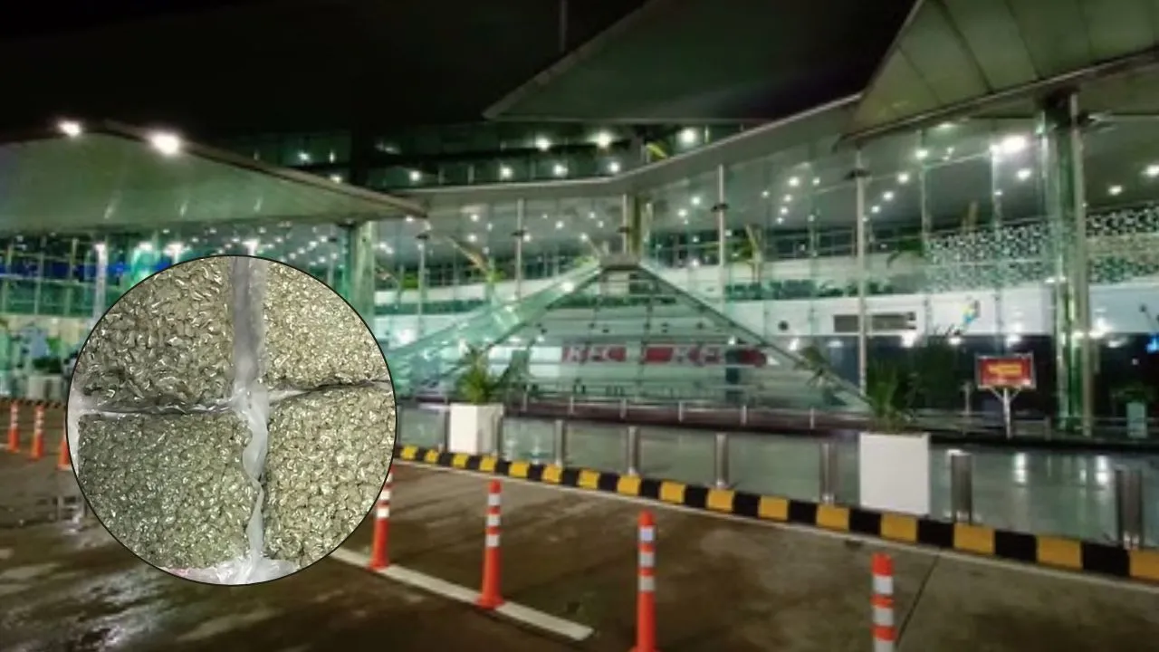 लखनऊ एयरपोर्ट पर पकड़ा गया 12 करोड़ का हाइड्रोपोनिक वीड,  बैंकॉक से आए यात्री ने उड़ाए सुरक्षा एजेंसियों के होश