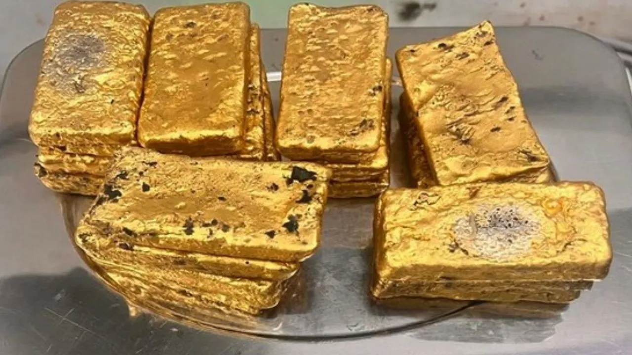   IGI Airport: चॉकलेट के डिब्बों से निकला लाखों का सोना पाउडर, IGI एयरपोर्ट पर जब्त 396 ग्राम सोना 