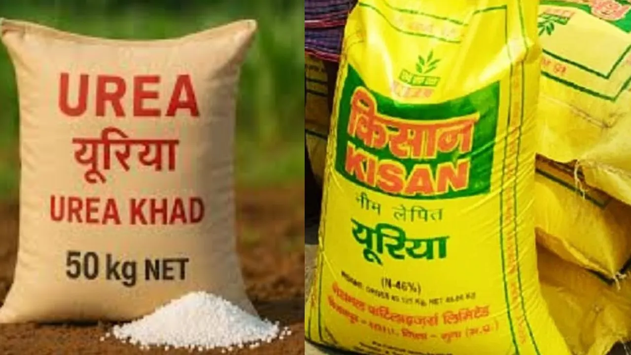 कृषि विभाग के रडार पर यूरिया बेचने वाले 38 विक्रेता, हेराफेरी को लेकर प्रशासन सख्त, ऑनलाइन रिपोर्ट से खुली पोल