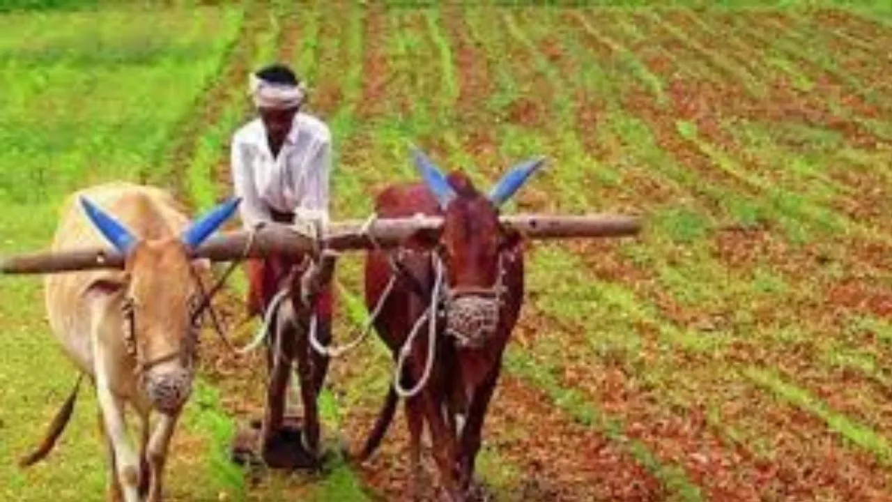 यूपी के किसानों को मिलेगा फसल सुरक्षा का कवच, नेशनल क्रॉप इंश्योरेंस प्रोग्राम के लिए 24.73 करोड़ की वित्तीय मंजूरी