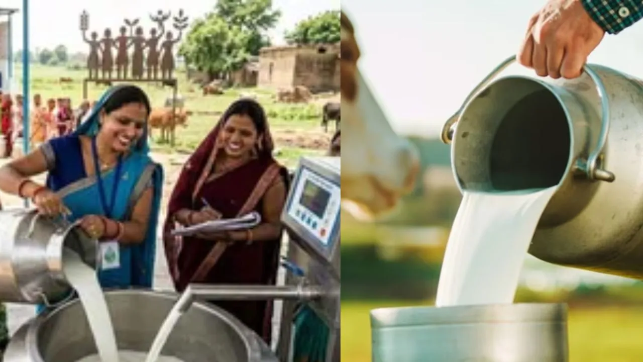 यूपी की ग्रामीण महिलाएं बनेंगी ‘डिजिटल डेयरी मैनेजर’, मोबाइल एप से चलेगा दुग्ध कारोबार 