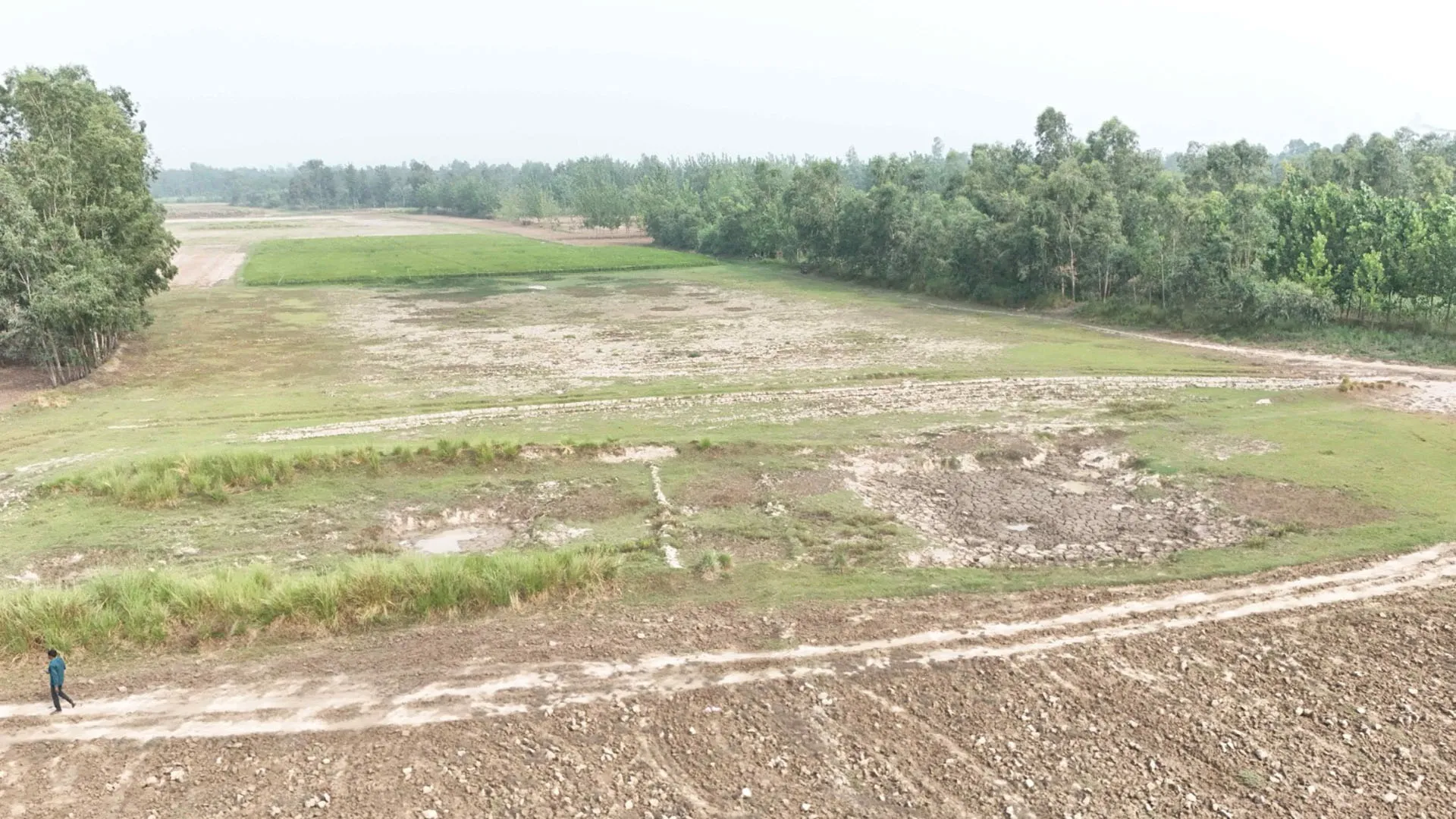 Biodiversity conservation: बरेली में लीलौर झील के बाद बदलेगी इस वेटलैंड की तस्वीर, WWF India की पहल
