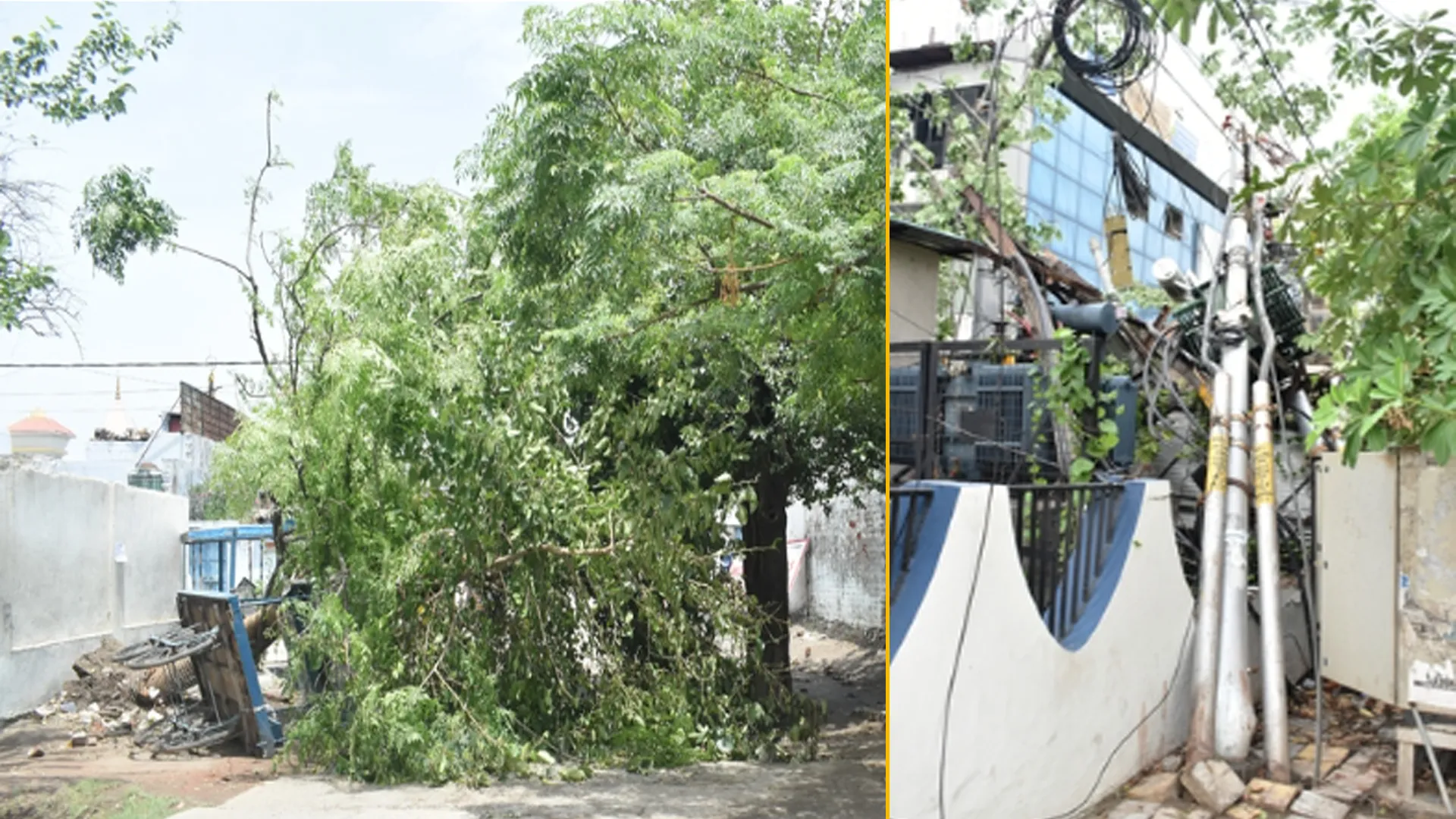 Bareilly News : आंधी ने मचाई तबाही.. जिले में 124 बिजली खंभे क्षतिग्रस्त, सप्लाई ठप