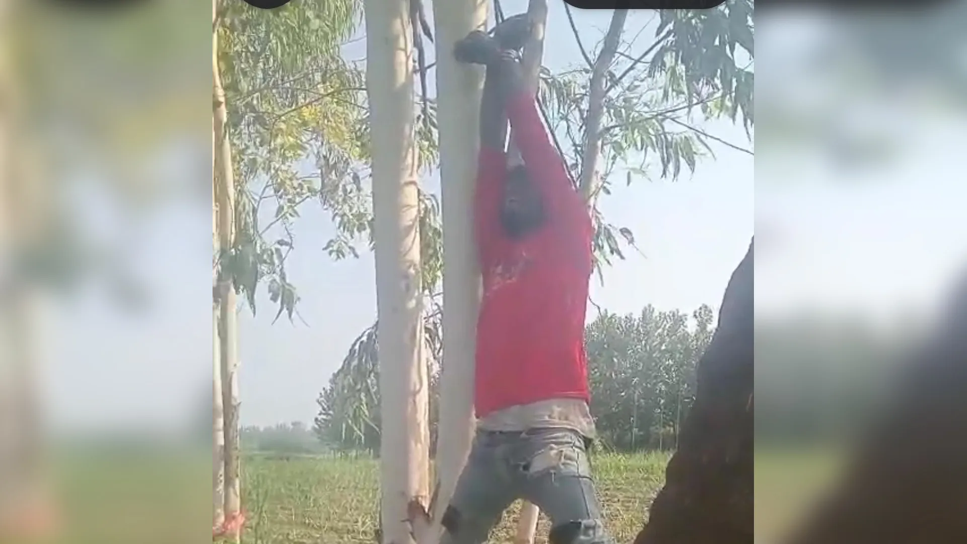 Amroha News : चोरी के शक में जीला-साले को पेड़ से लटकाकर दी तालिबानी सजा, करीब 7 घंटे तक पेड़ से लटके रहे