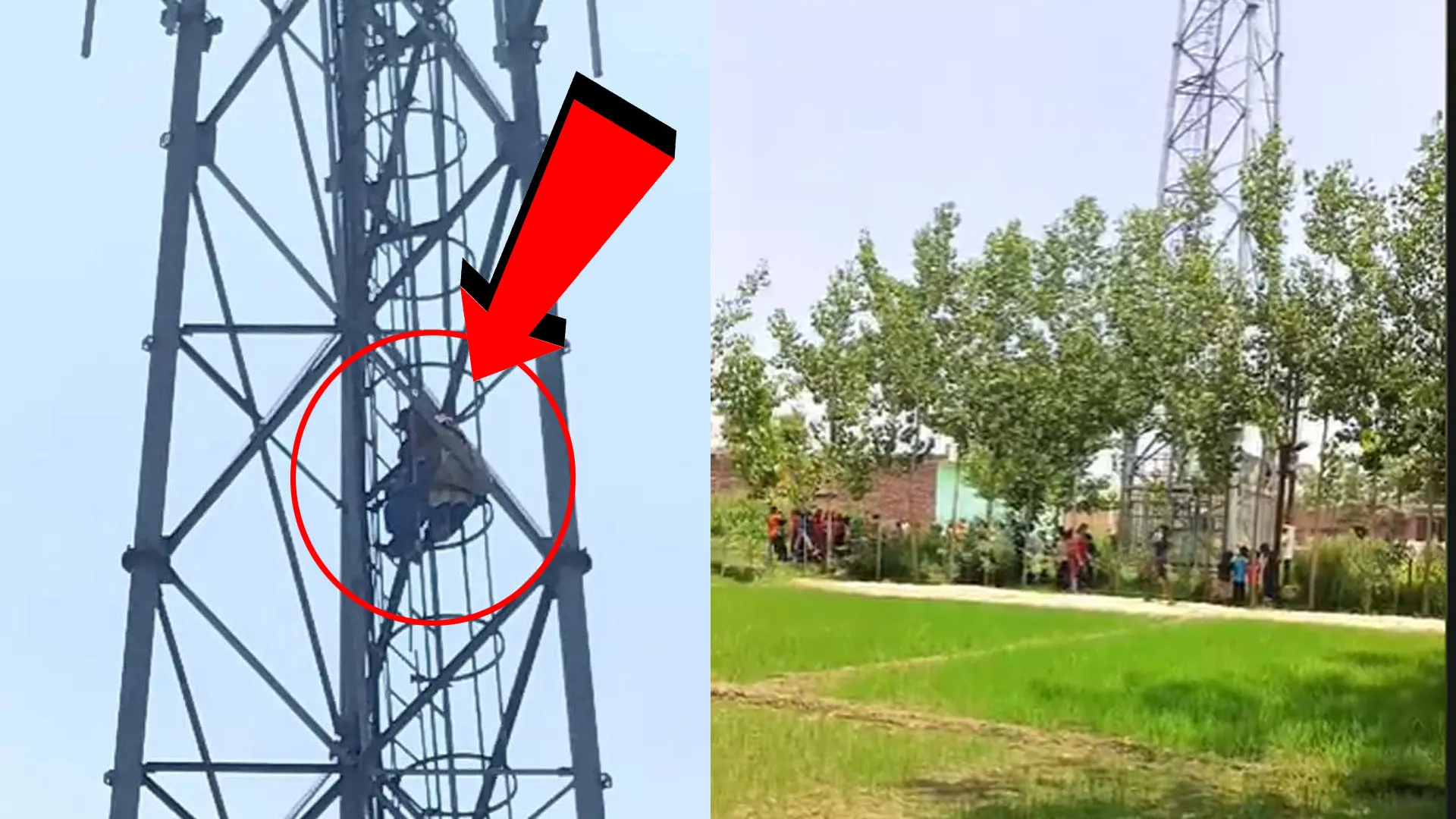 Rampur News : शादी की जिद में मोबाइल टावर पर चढ़ी युवती, प्रेमी को बुलाने पर उतरी नीचे
