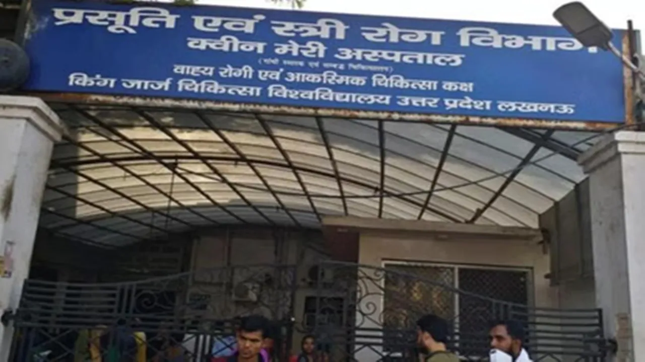  Queen Mary Hospital : क्वीन मेरी अस्पताल आए तो अपना पंखा साथ लाए... वेटिंग रूम में लोट रहे कुत्ते